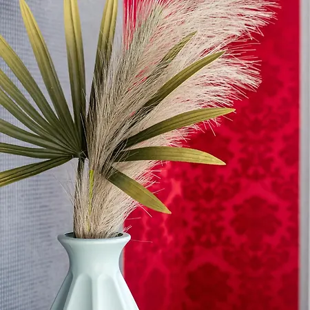 Iflat Colosseum & Monti Cozy Bright Dream